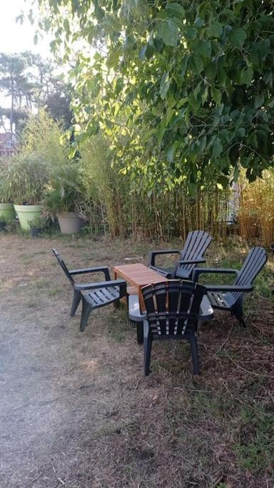 400M De La Plage Maison 3 Chambres Avec Jardin Saint-Georges-de-Didonne Esterno foto